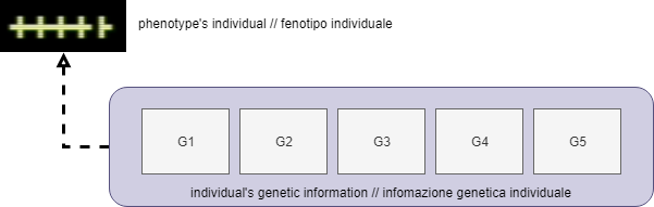 evolution10:evolution10-genotype.png